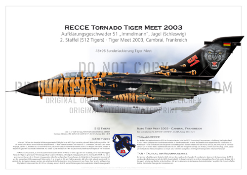 2nd Squadron Tactical Recce Wing (TRW) 51 Schleswig - Tornado RECCE 43+96 Tiger Meet 2003