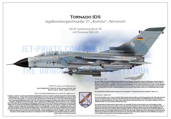 JaboG 31 Tornado IDS 43+25 Norm 95, Paveway, GBU-24