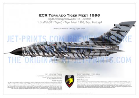 Lechfeld 321 Tigers ECR Torn 46+45 Tigermeet 1996