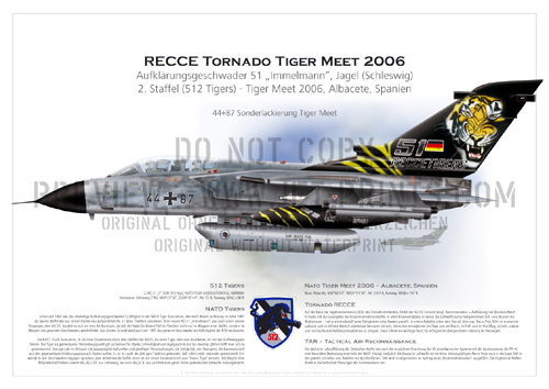 2nd Squadron TactLwWing (TRW) 51 Schleswig - Tornado RECCE 44+87 Tiger Meet 2006 Albacete