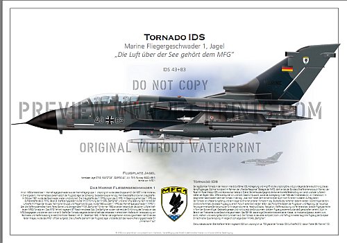 German Naval Wing 1 TORNADO IDS 43+83 non-standard camouflage with HARM