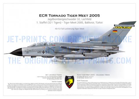 Lechfeld 321 Tigers Tornado ECR 46+53 Tiger Meet 2005