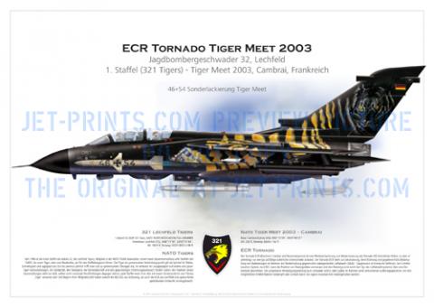 Lechfeld 321 Tigers ECR Torn 46+54 Tiger Meet 2003