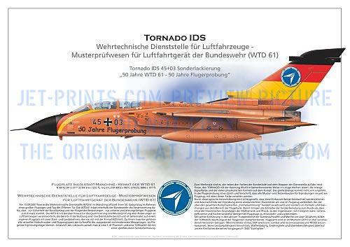 WTD 61 Tornado IDS 45+03 special paint „50 Years WTD 61“