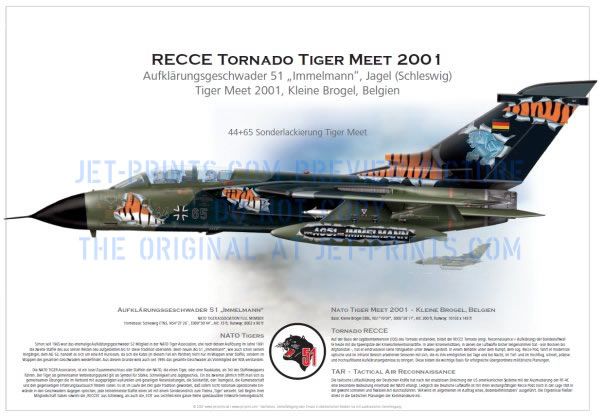 AG (TaktLwGeschw) 51 Schleswig RECCE TORNADO 44+65 Tiger Meet 2001
