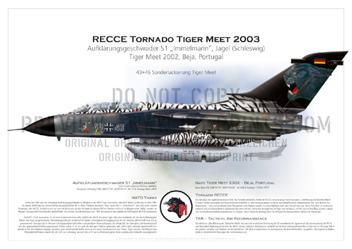 Tactical Recce Wing (TRW) 51 Schleswig - Tornado RECCE 43+46 Tiger Meet 2002